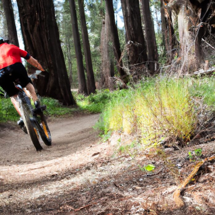 Mountain Biking Trails: Thrills on Two Wheels